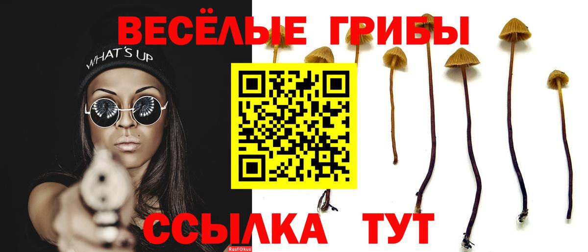 Жигулёвск  Псилоцибиновые грибы мицелий  Псилоцибиновые грибы Psilocybe  Вход с VPN 